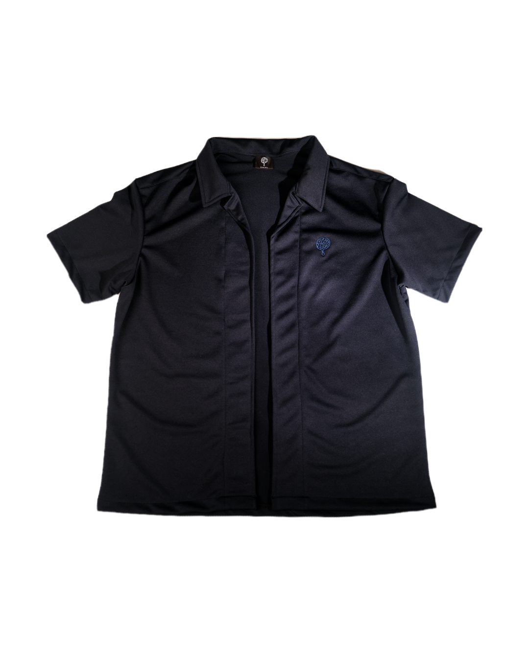 Japanese Navy