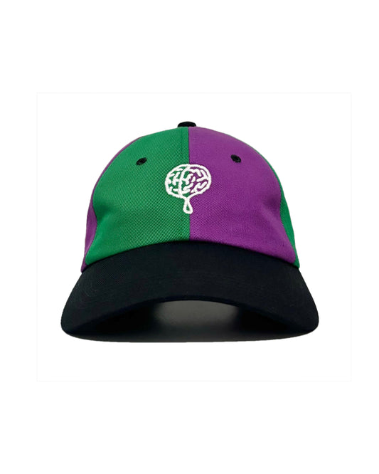 Dad Hat (Purp & Green)